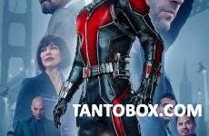 ANT MAN